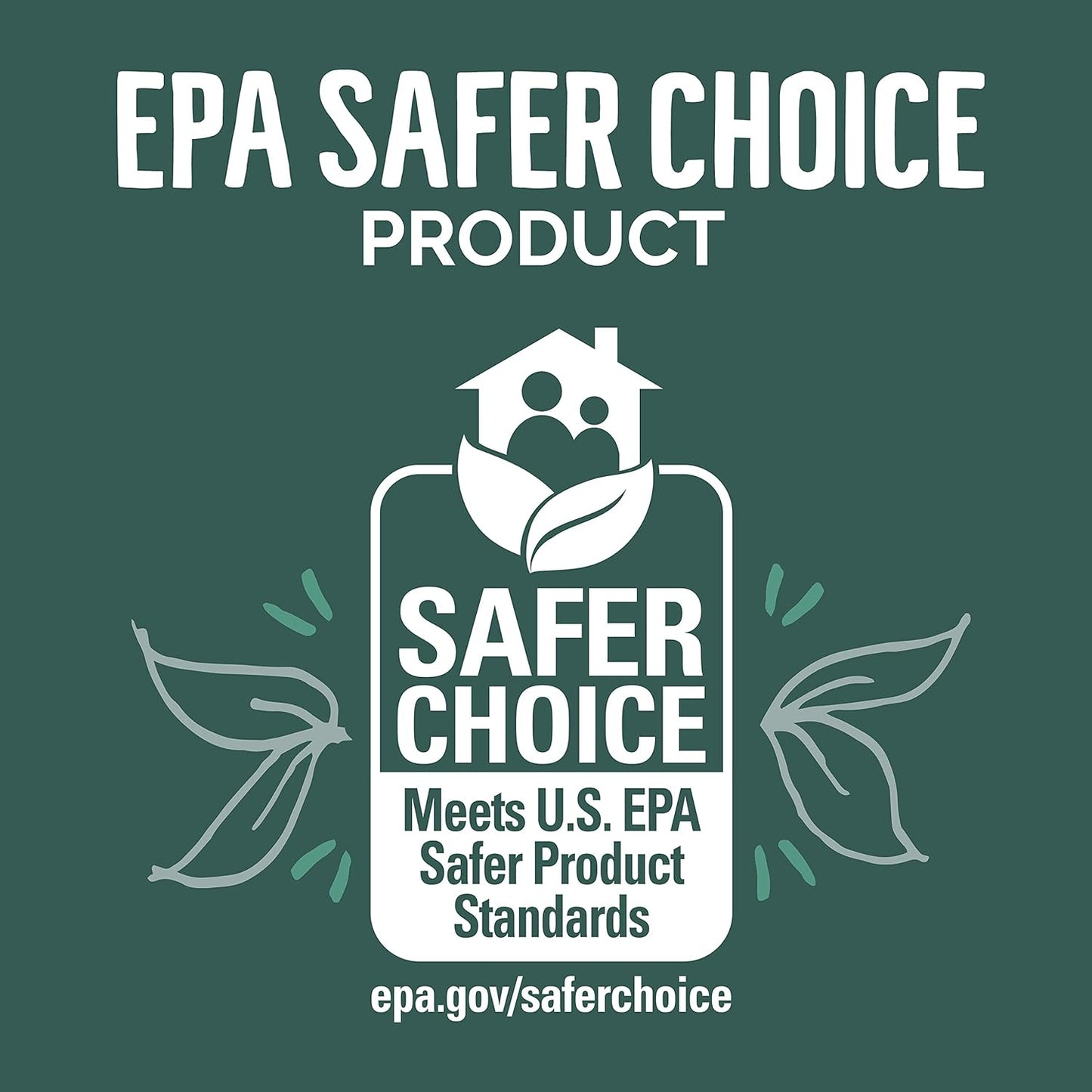 TerraHomeGoods® Dishwashing Soap