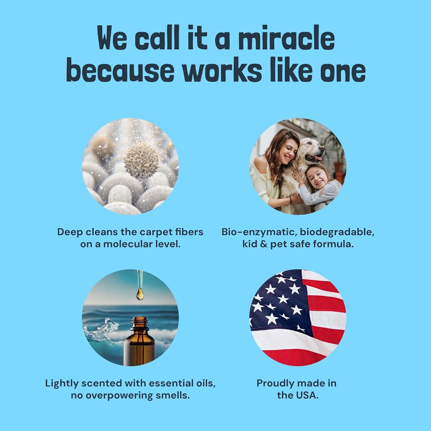 TerraHomeGoods® Carpet Cleaner