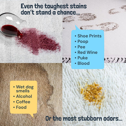 TerraHomeGoods® Carpet Cleaner